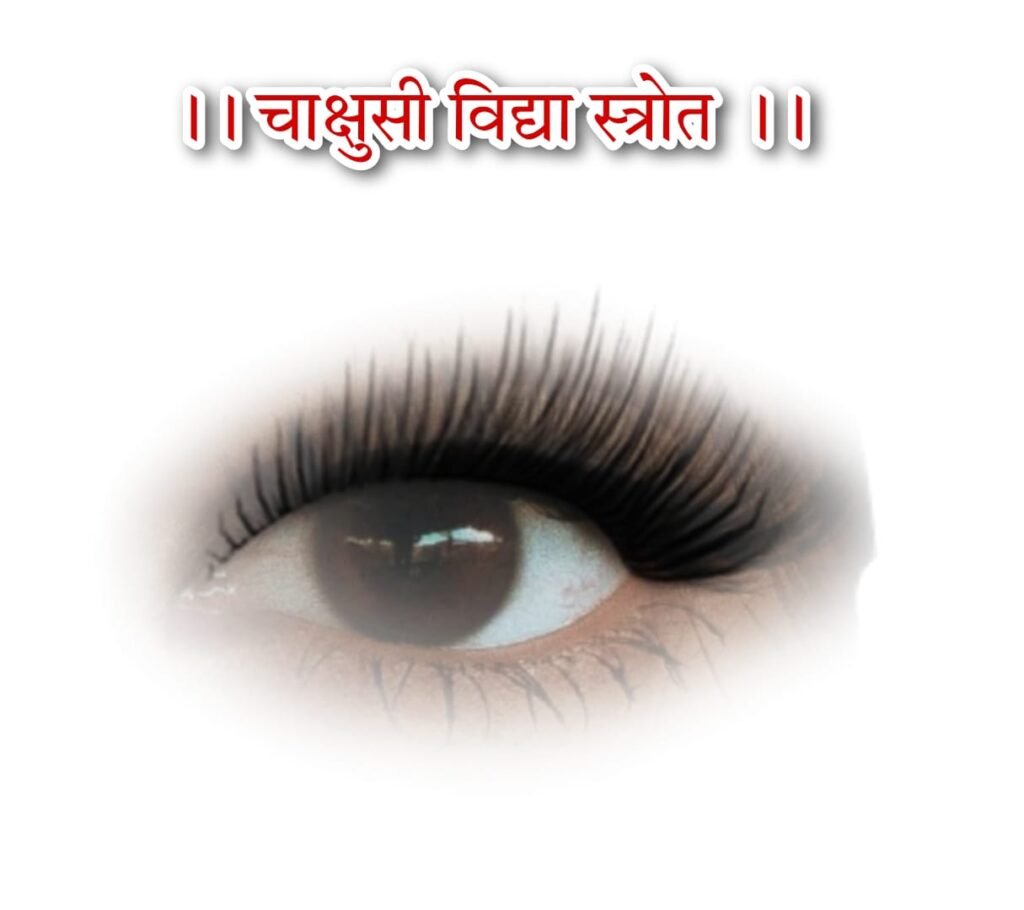 चाक्षुषोपनिषद (चाक्षुषी विद्या) - पाठ करने से नेत्र के समस्त रोग दूर हो जाते हैं। Chakshushi Vidhya Strotram