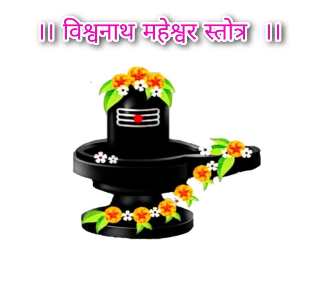 हे नाथ जानि अजान बालक विश्वनाथ महेश्वरम्।